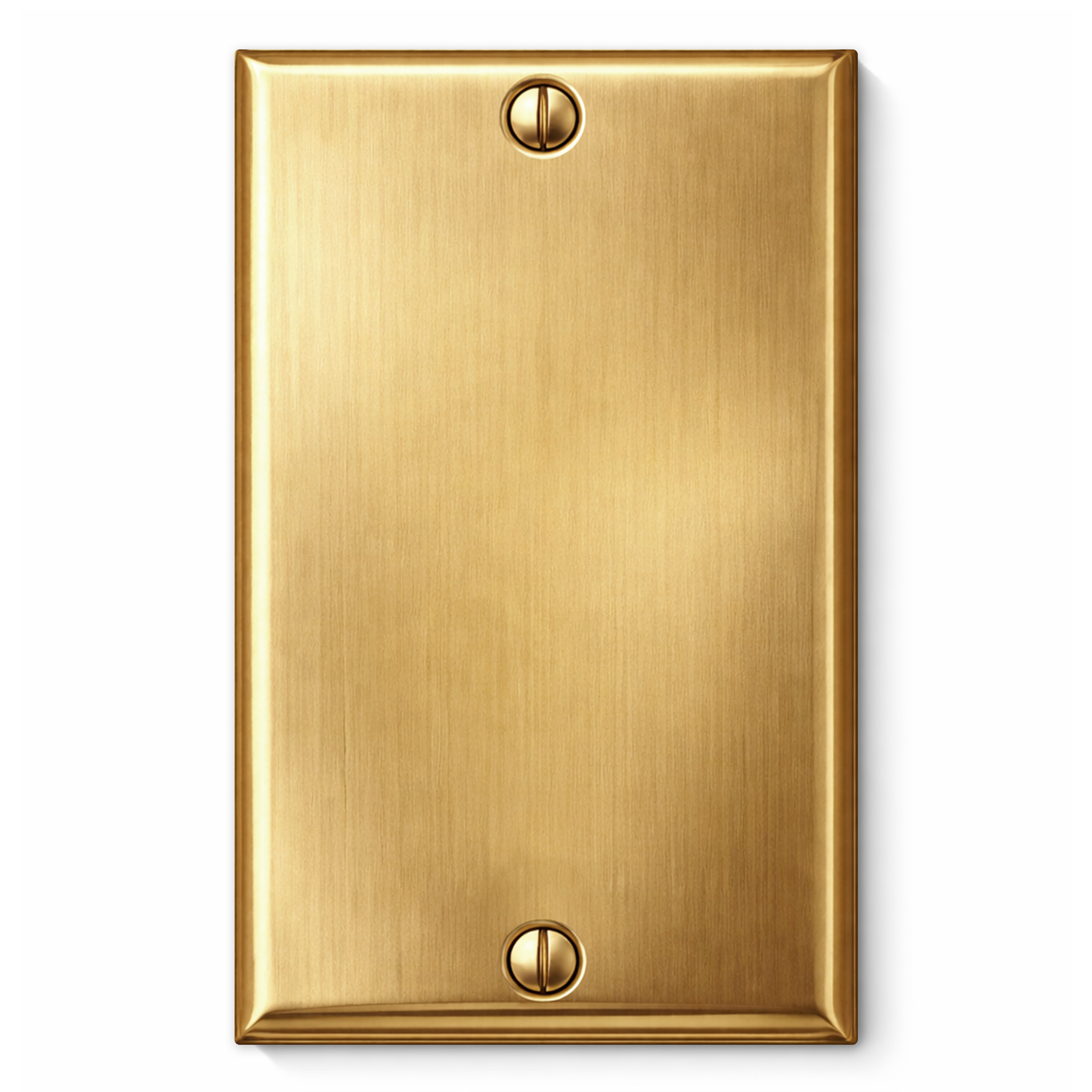 1-Gang Satin Brass Blank Wall Plate Cover