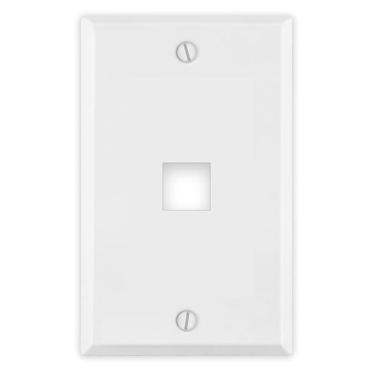 1-Gang Standard Metal Wall Plate β Jack Plug Opening β White Semi-Gloss