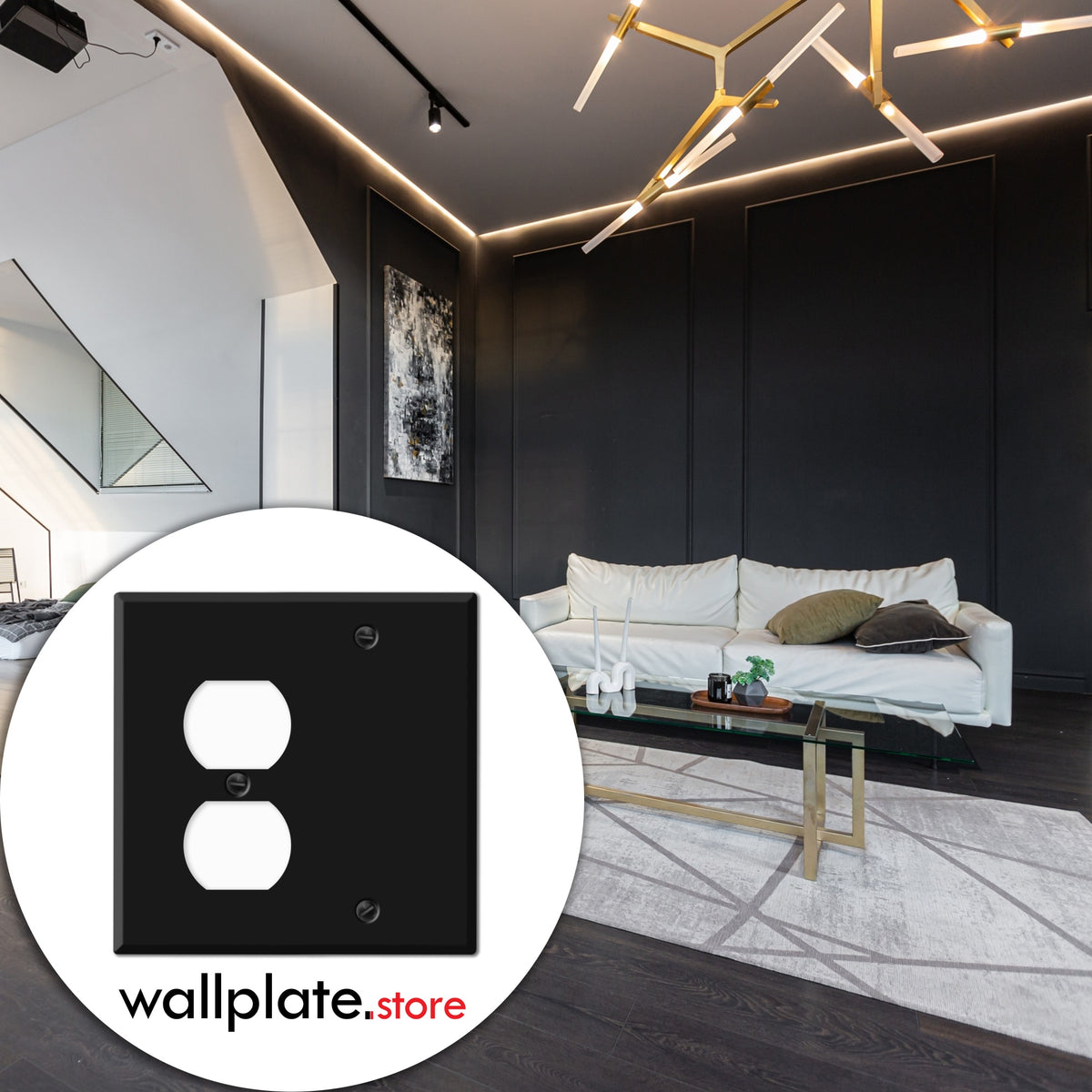 2-Gang Standard Metal Wall Plate – 1 Duplex Receptacle + 1 Blank – Black Matte