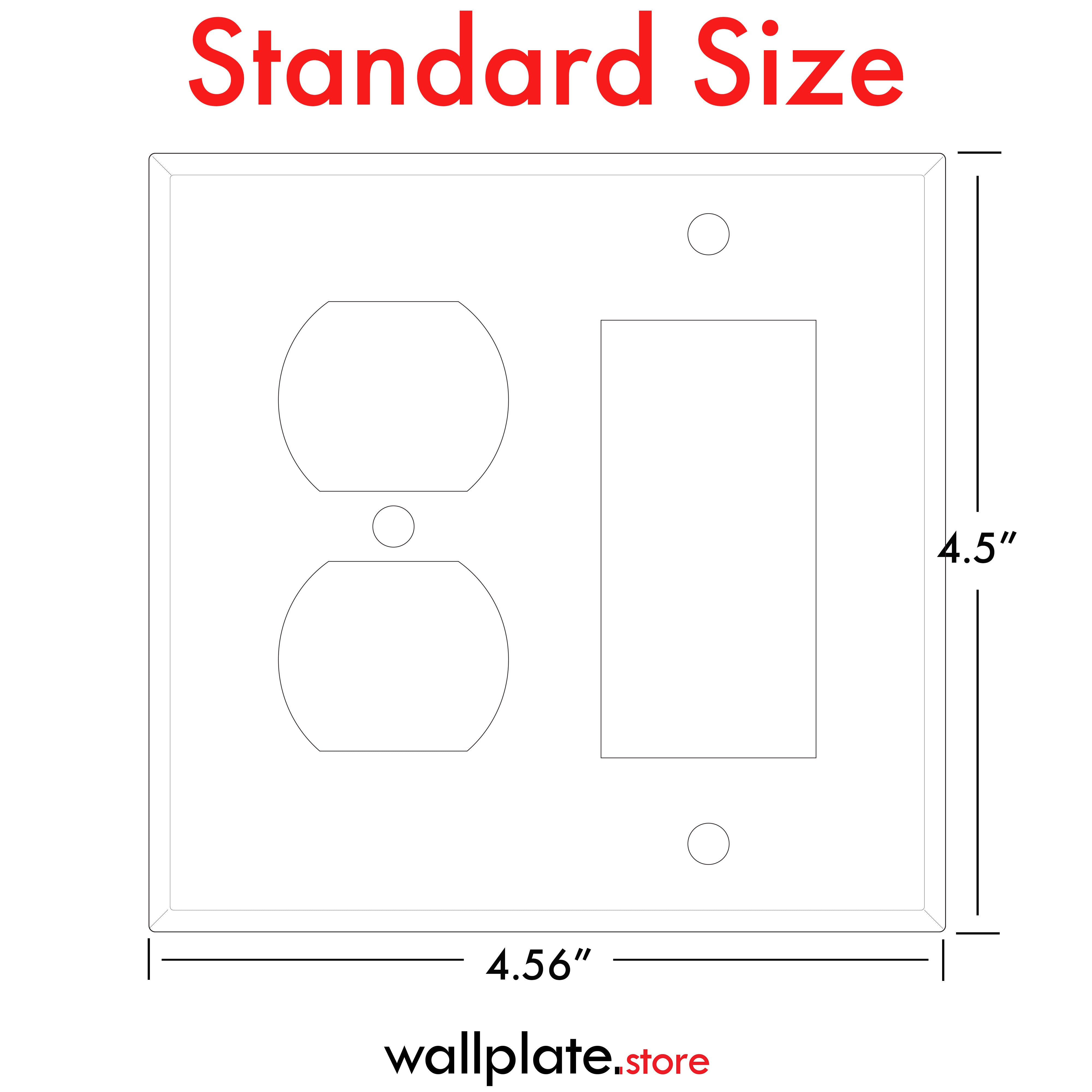 2 Gang with 1 duplex and 1 Rocker, standard size, Stainless Steel wallplate