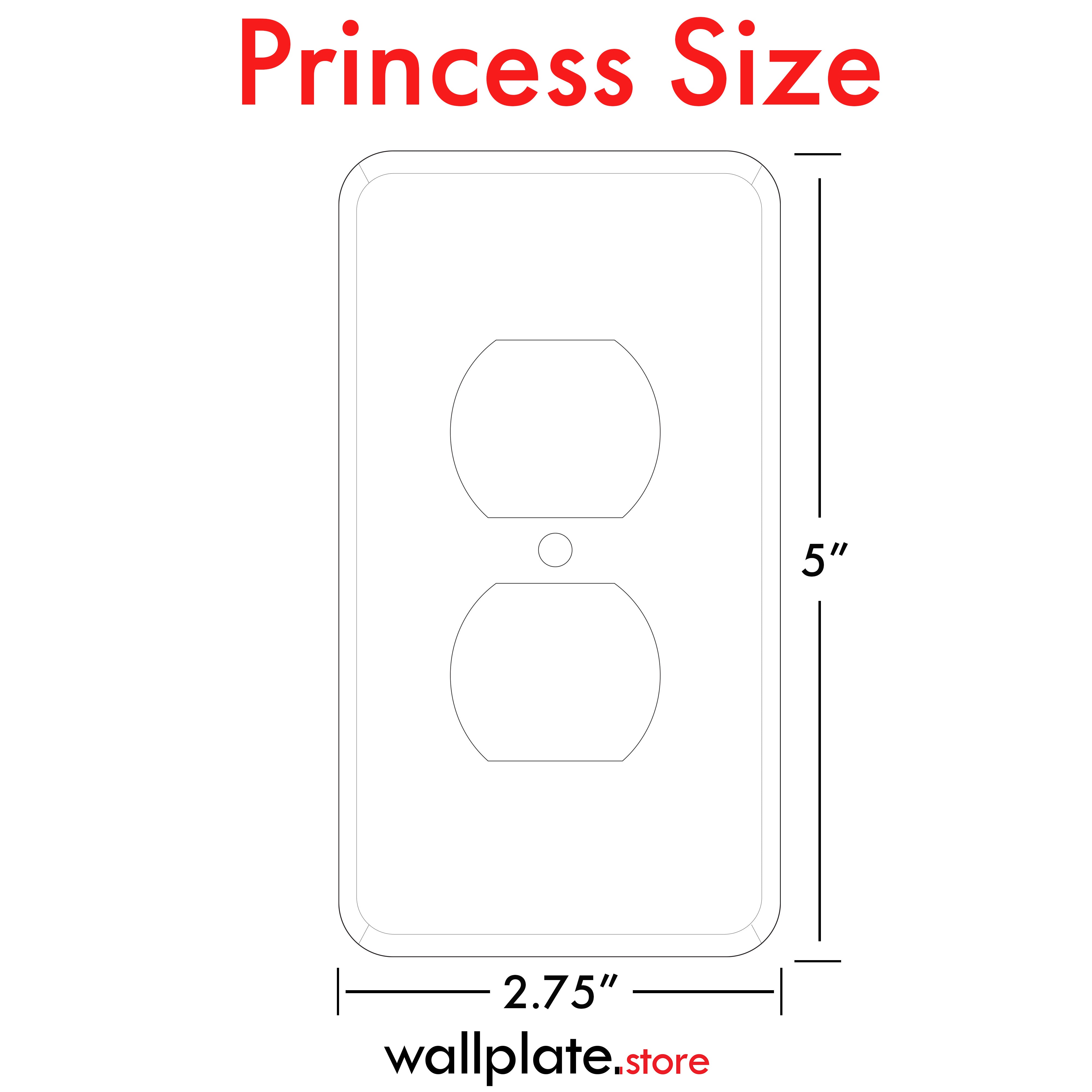 1 Gang Duplex Receptacle, Princess Size, Metallic Finish Stainless Steel Wallplate