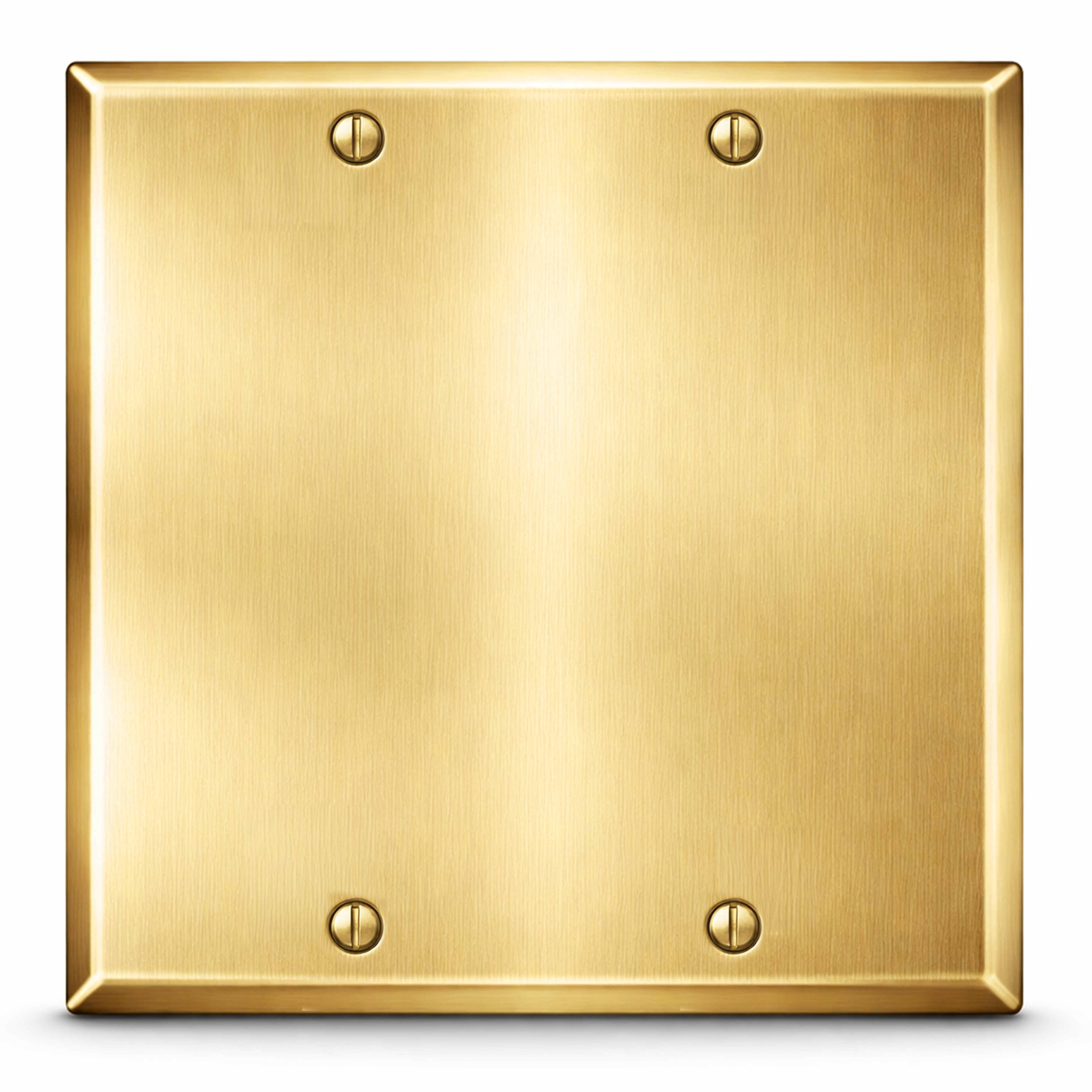 2-Gang Satin Brass Blank Wall Plate