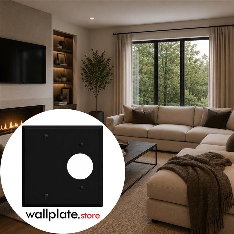 2-Gang, Standard Size, (1) Single Receptacle Opening (1.405 in. ID) and (1) Blank, Black Matte, Painted Metal Wall Plate Outlet Cover - Made in USA