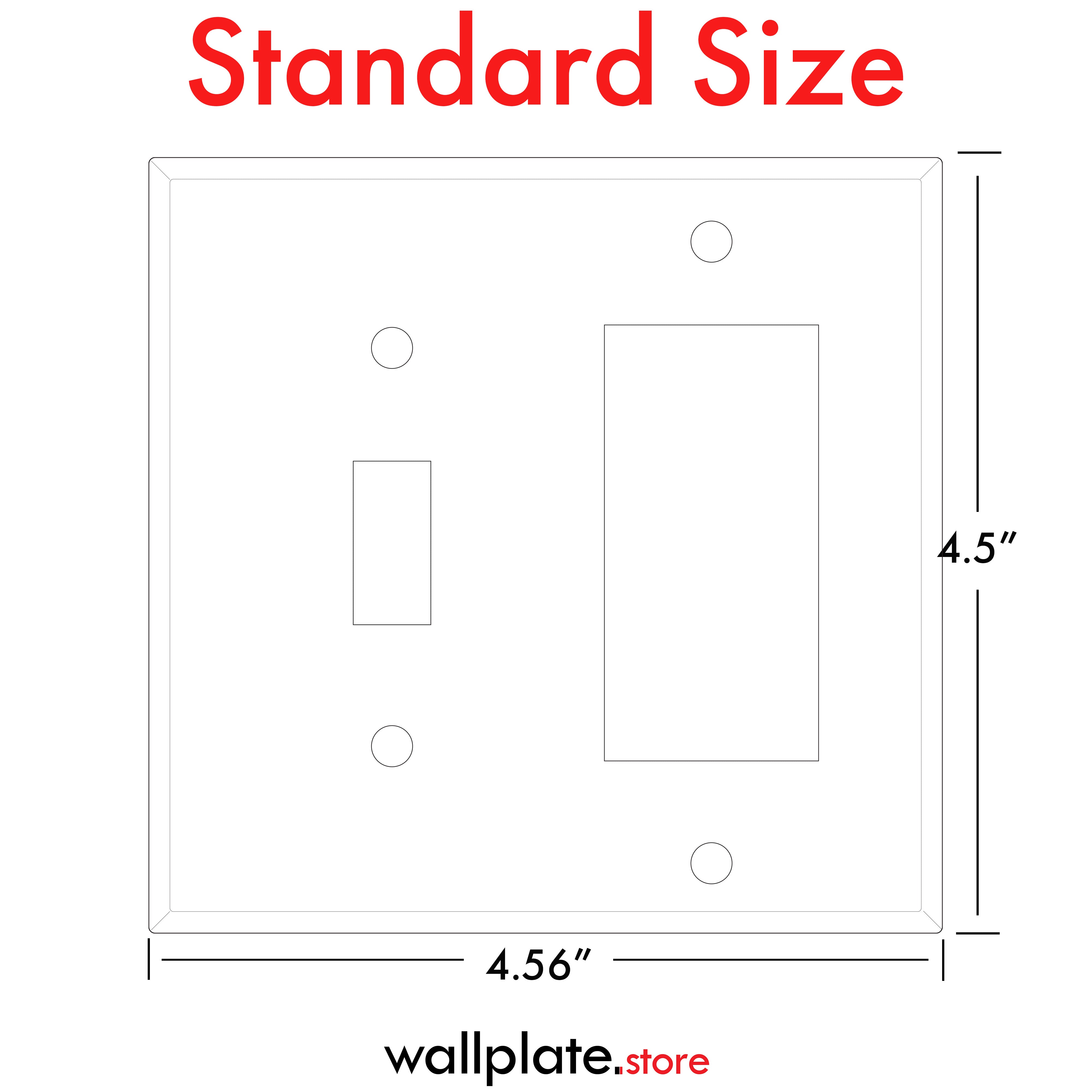 2 Gang Stainless Steel Toggle and Rocker Switch Wall plate