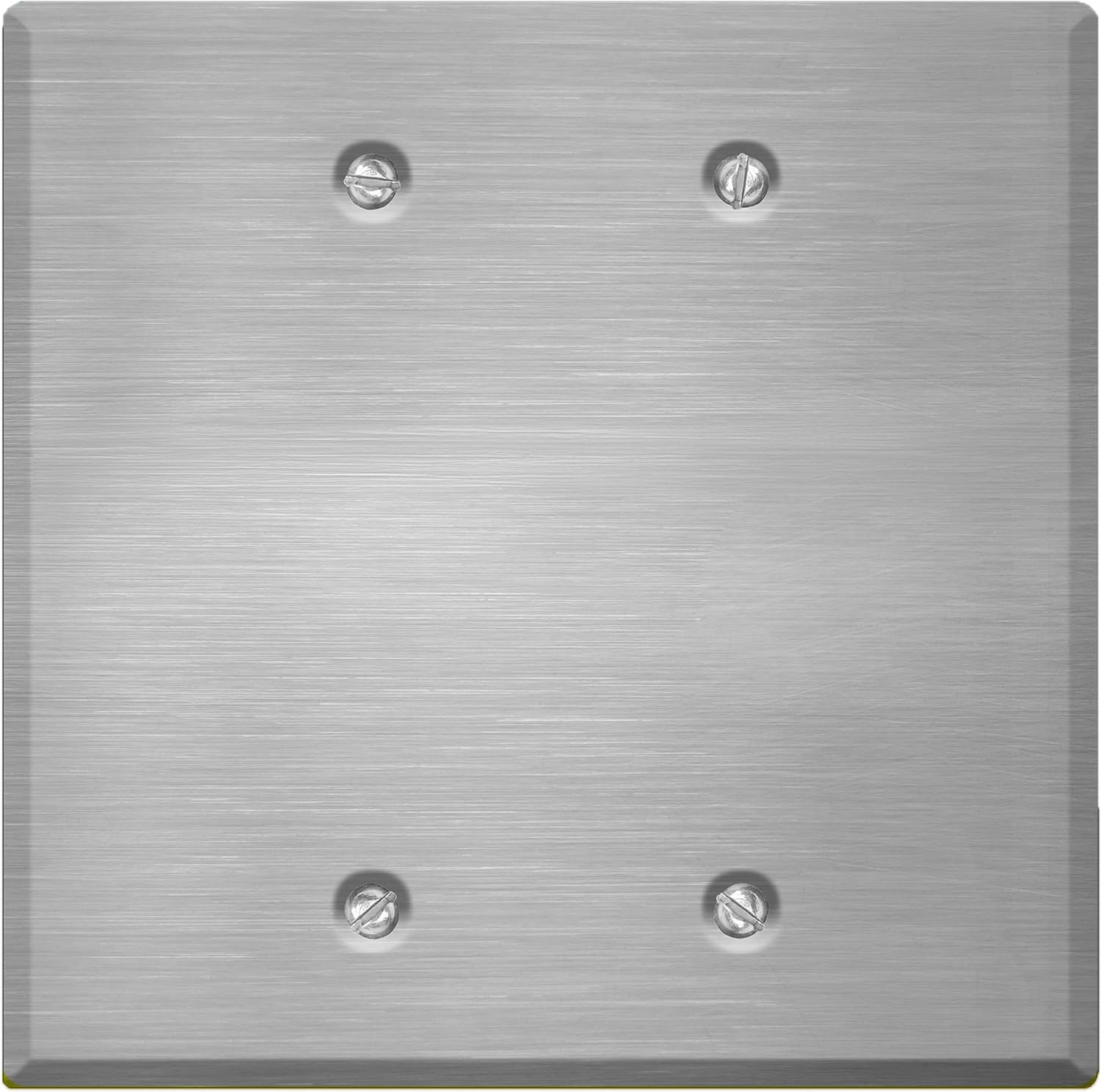 2 Gang Stainless Steel Blank Wall Plate