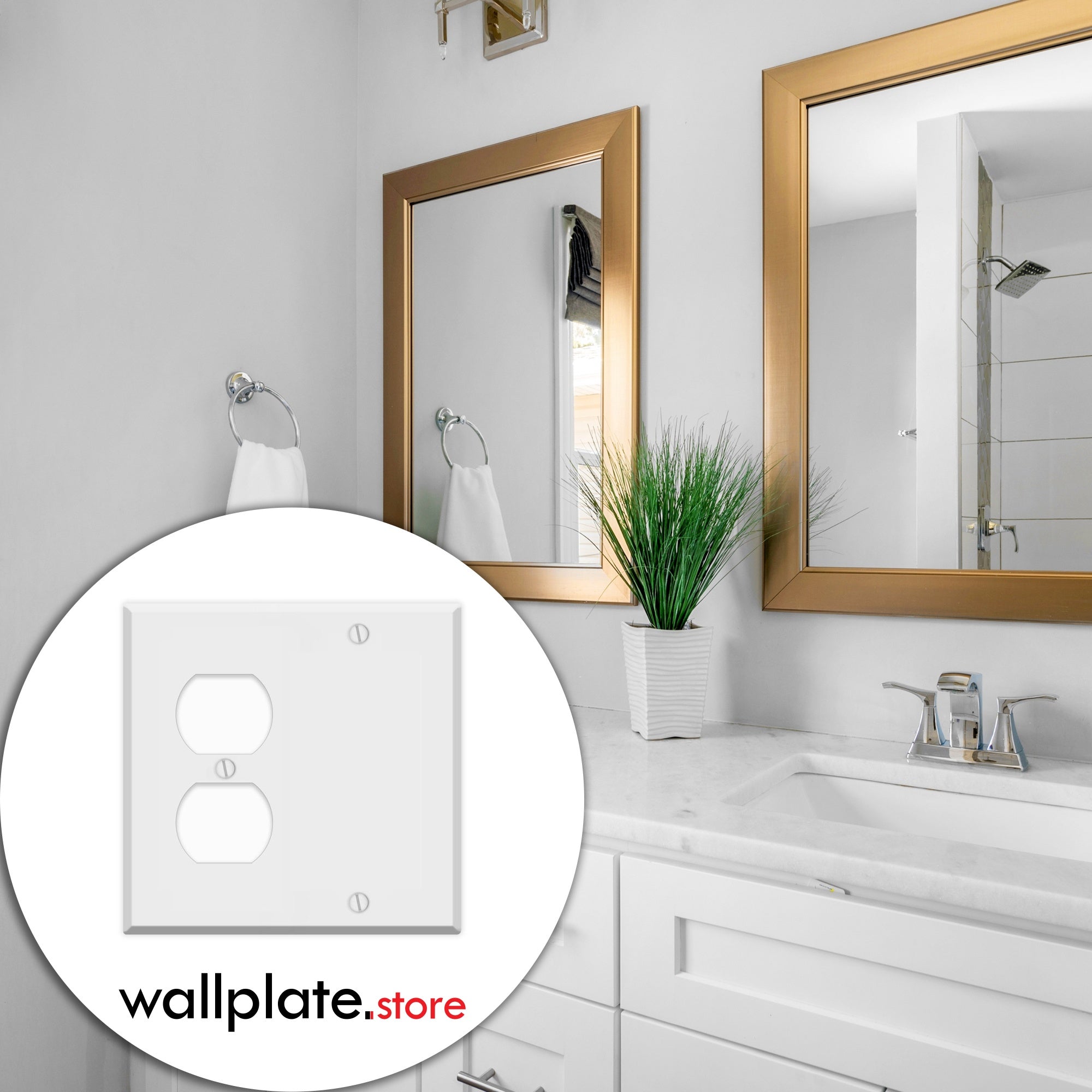 2-gang with (1) duplex (1) blank, standard size, painted metal wallplate