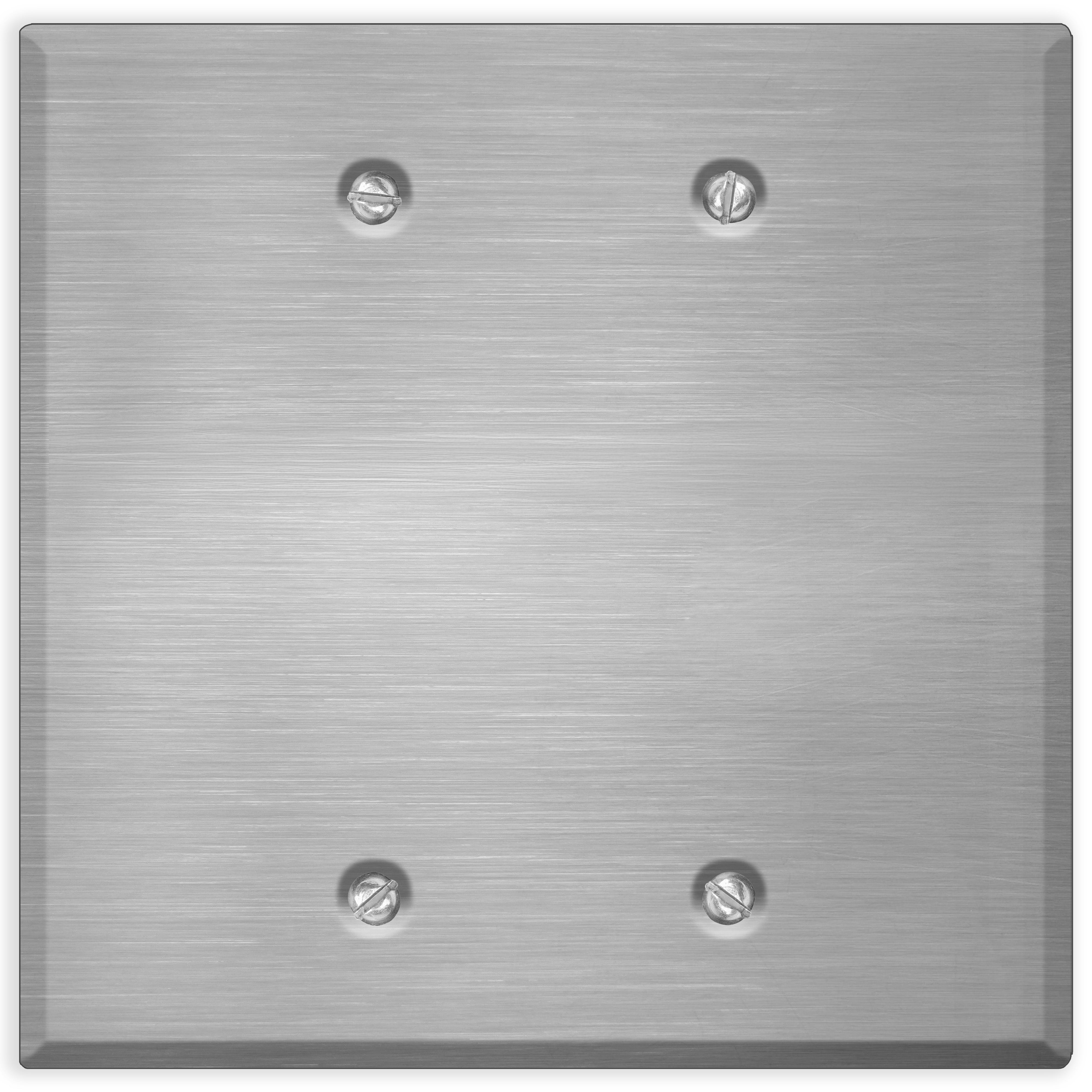 2 Gang Oversized Stainless Steel Blank Wall Plate