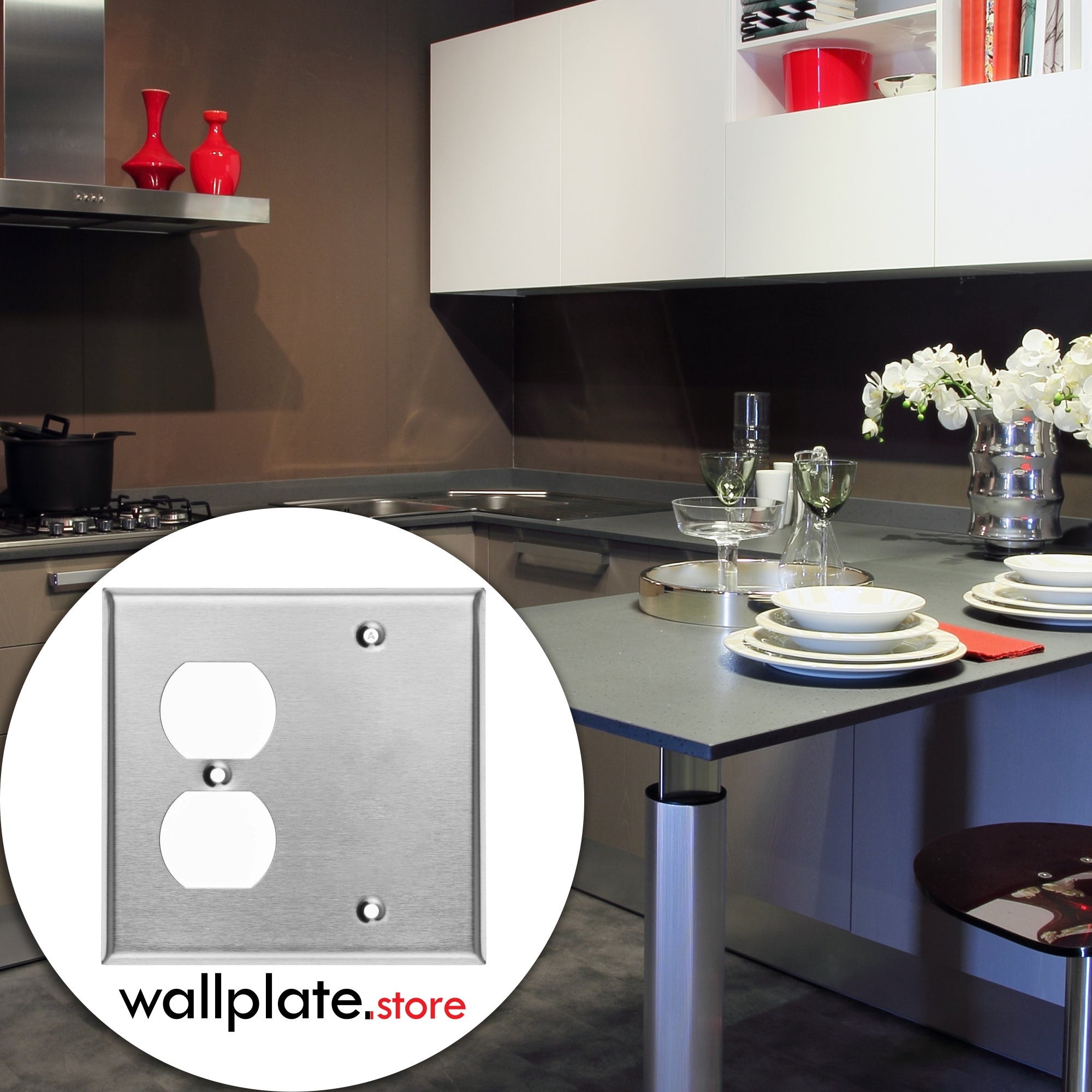 2 Gang Stainless Steel Duplex Receptacle and Blank Wall Plate