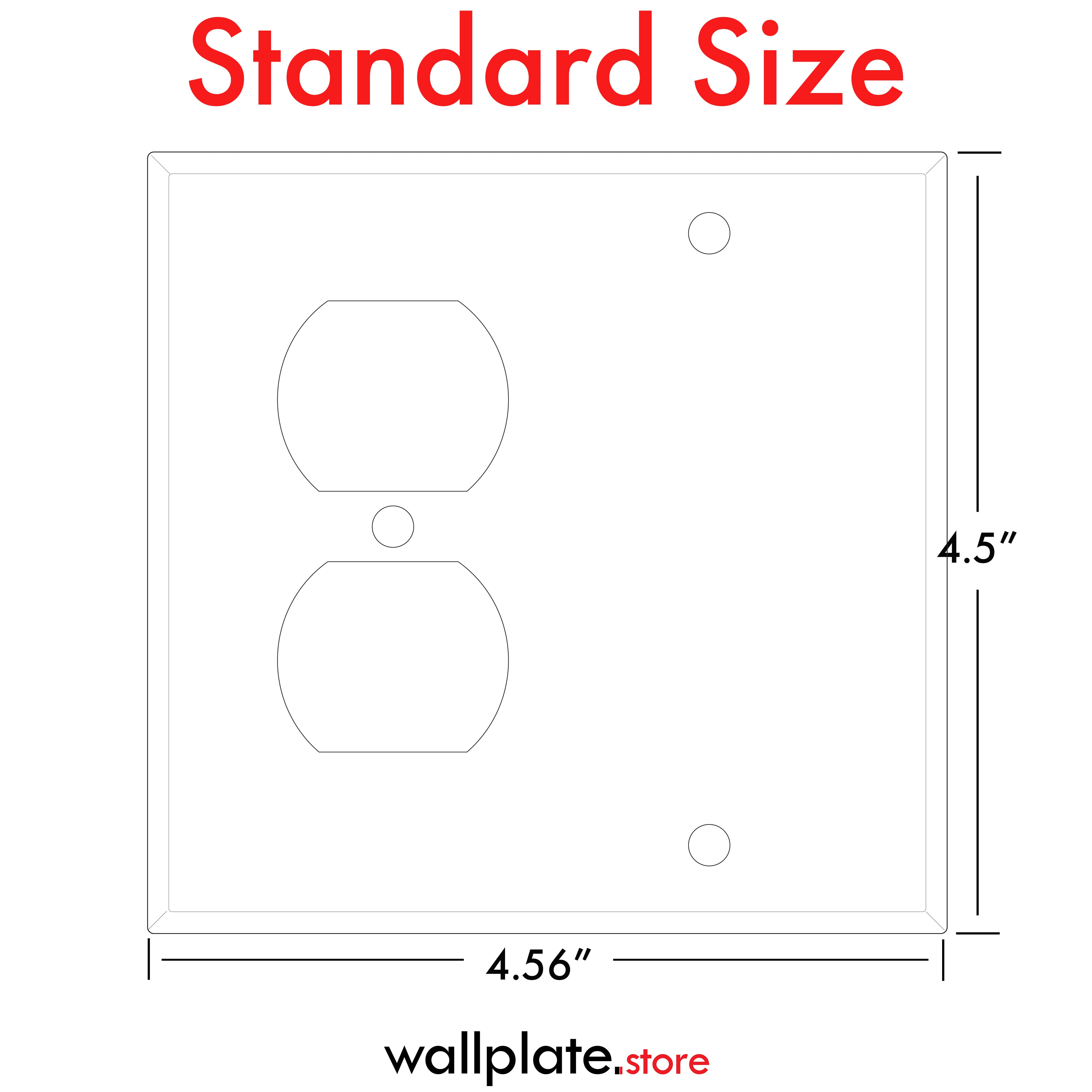 2-gang with (1) duplex (1) blank, standard size, painted metal wallplate