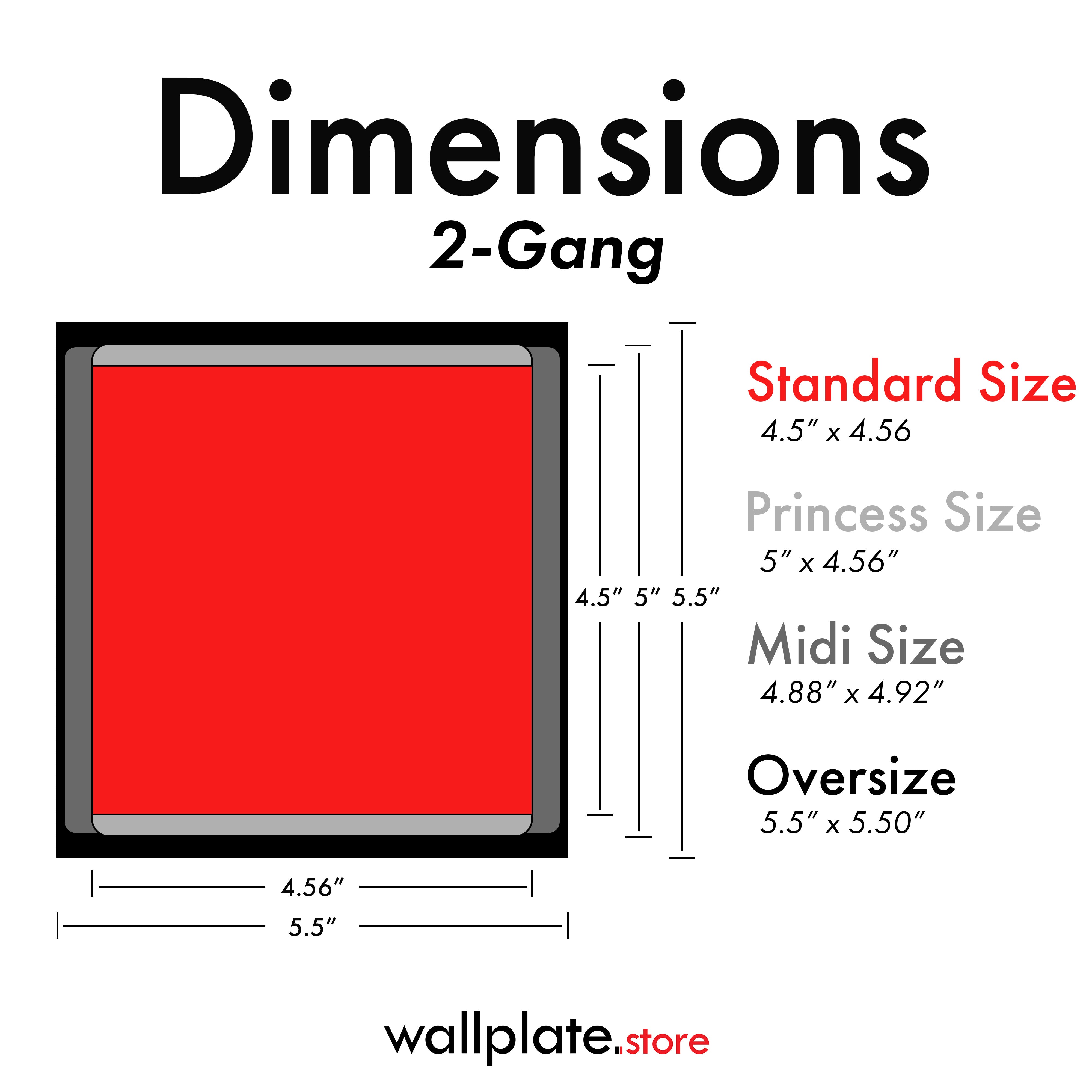 2 Gang Stainless Steel Toggle Switch Wall Plate Cover