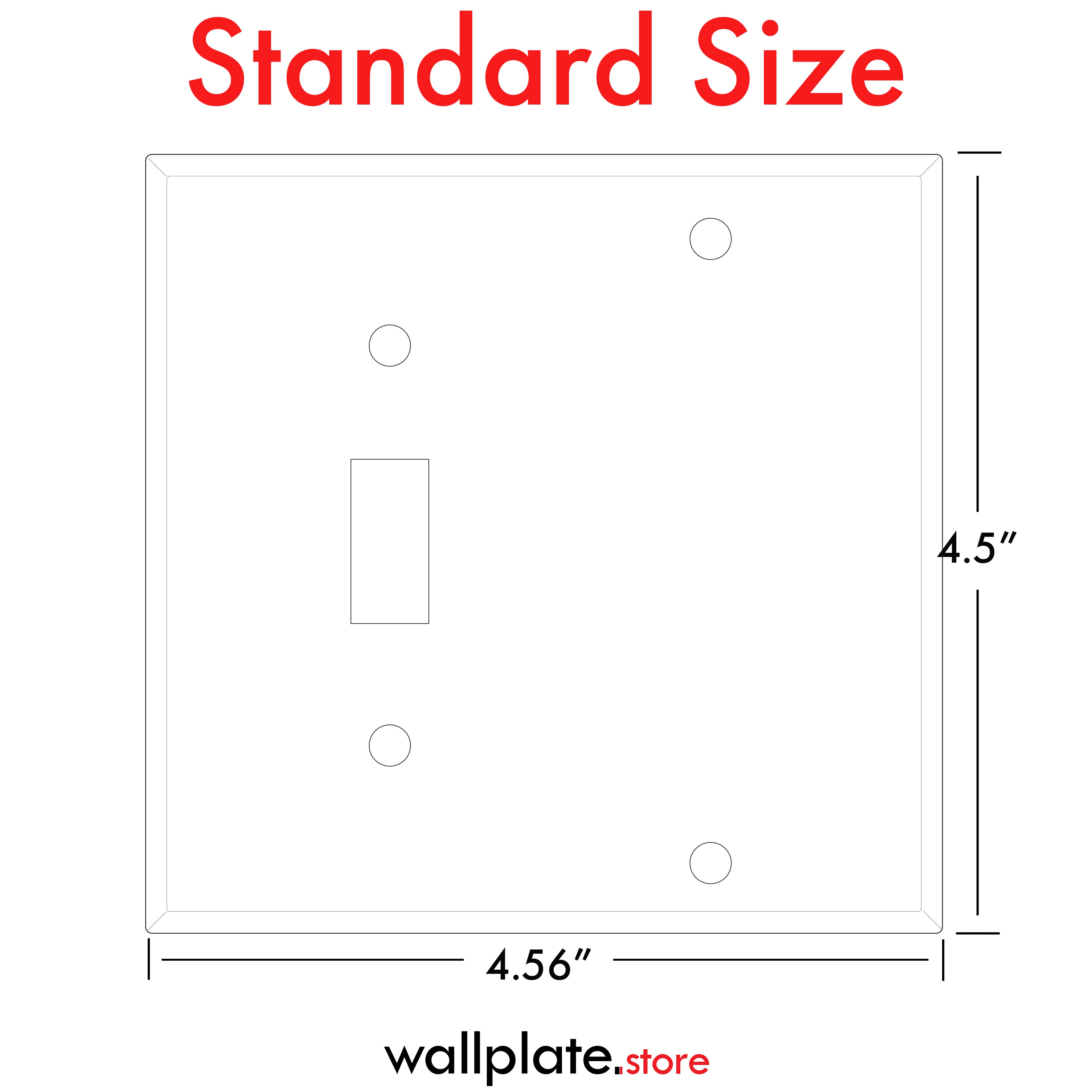2 Gang standard size White Metal Toggle Switch and Blank Wall plate