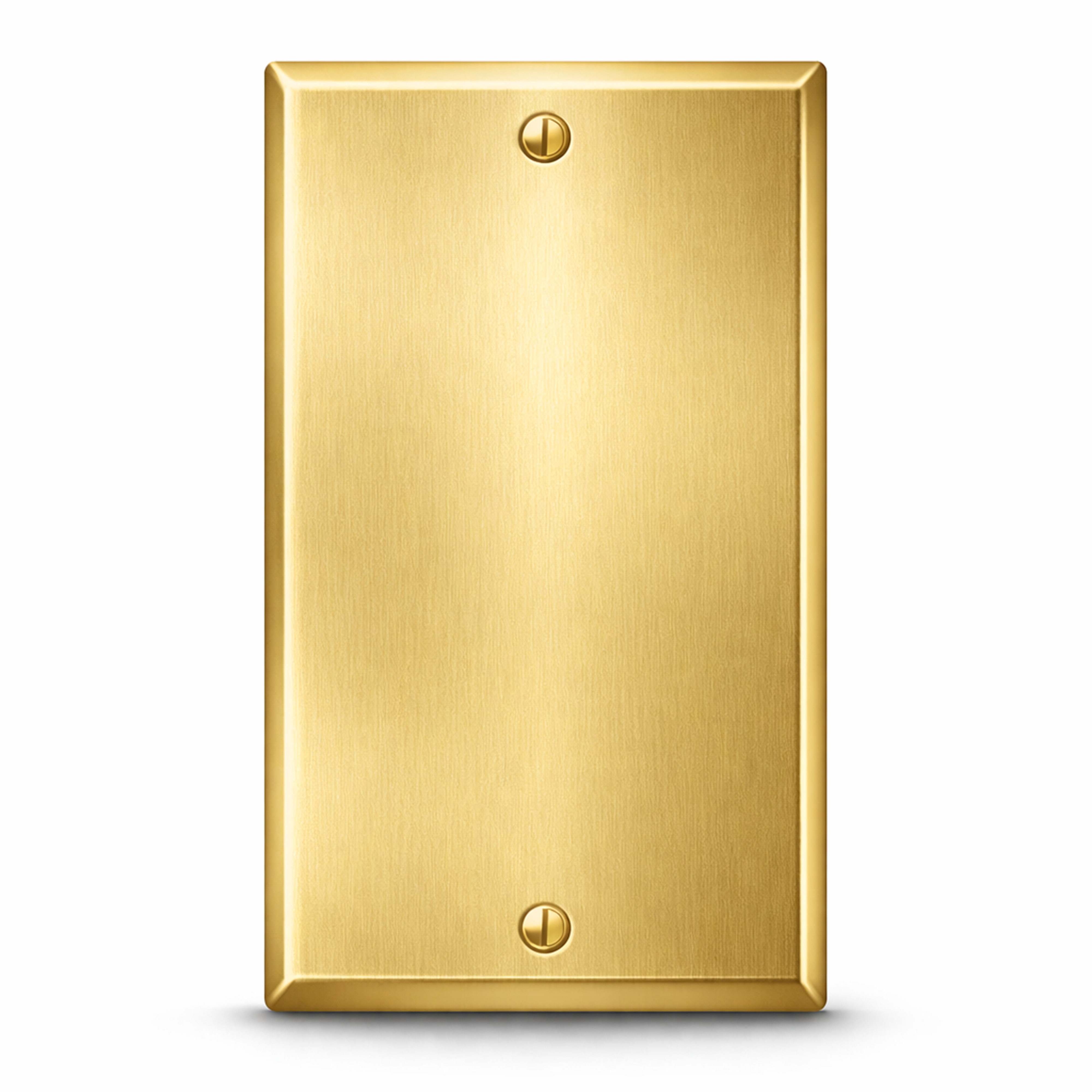 1-Gang Satin Brass Blank Wall Plate Cover