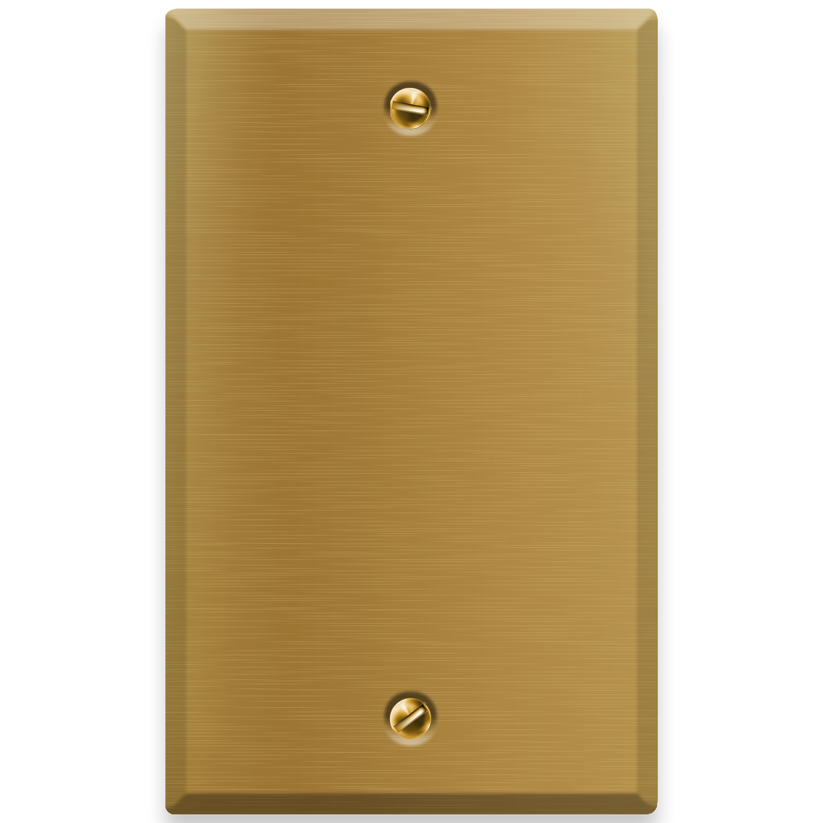 1-Gang Standard Blank Brass Wall Plate – Satin Brass