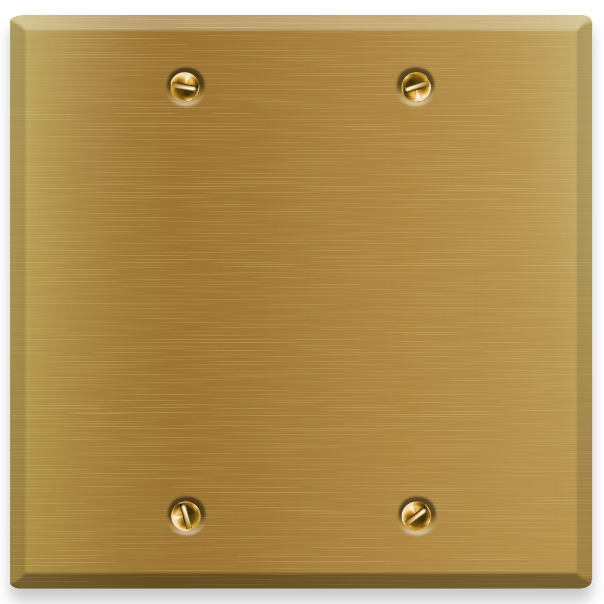 2-Gang Standard Blank Brass Wall Plate – Satin Brass