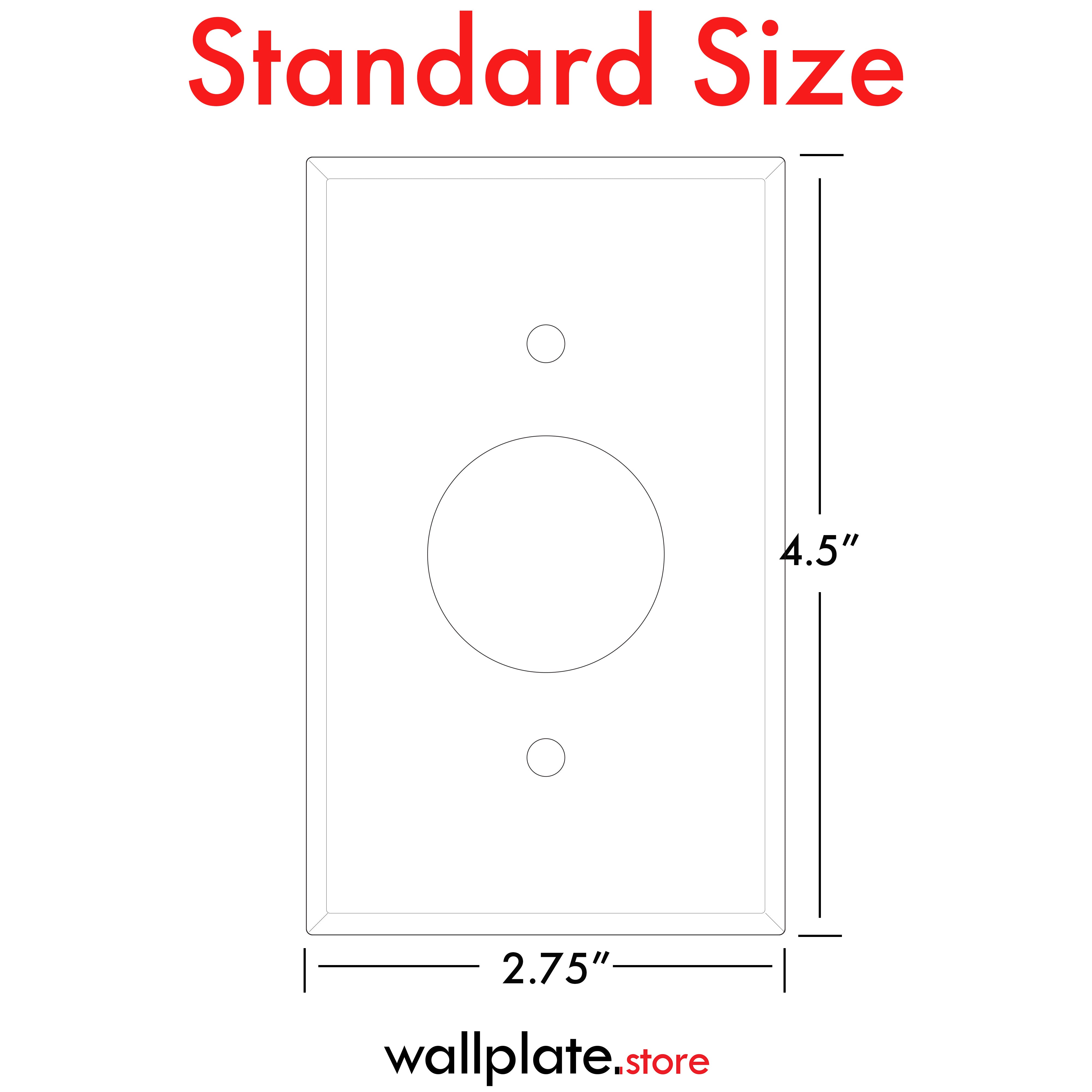1 Gang Standard Size, with Single Receptacle Opening, White Painted Metal Wallplate