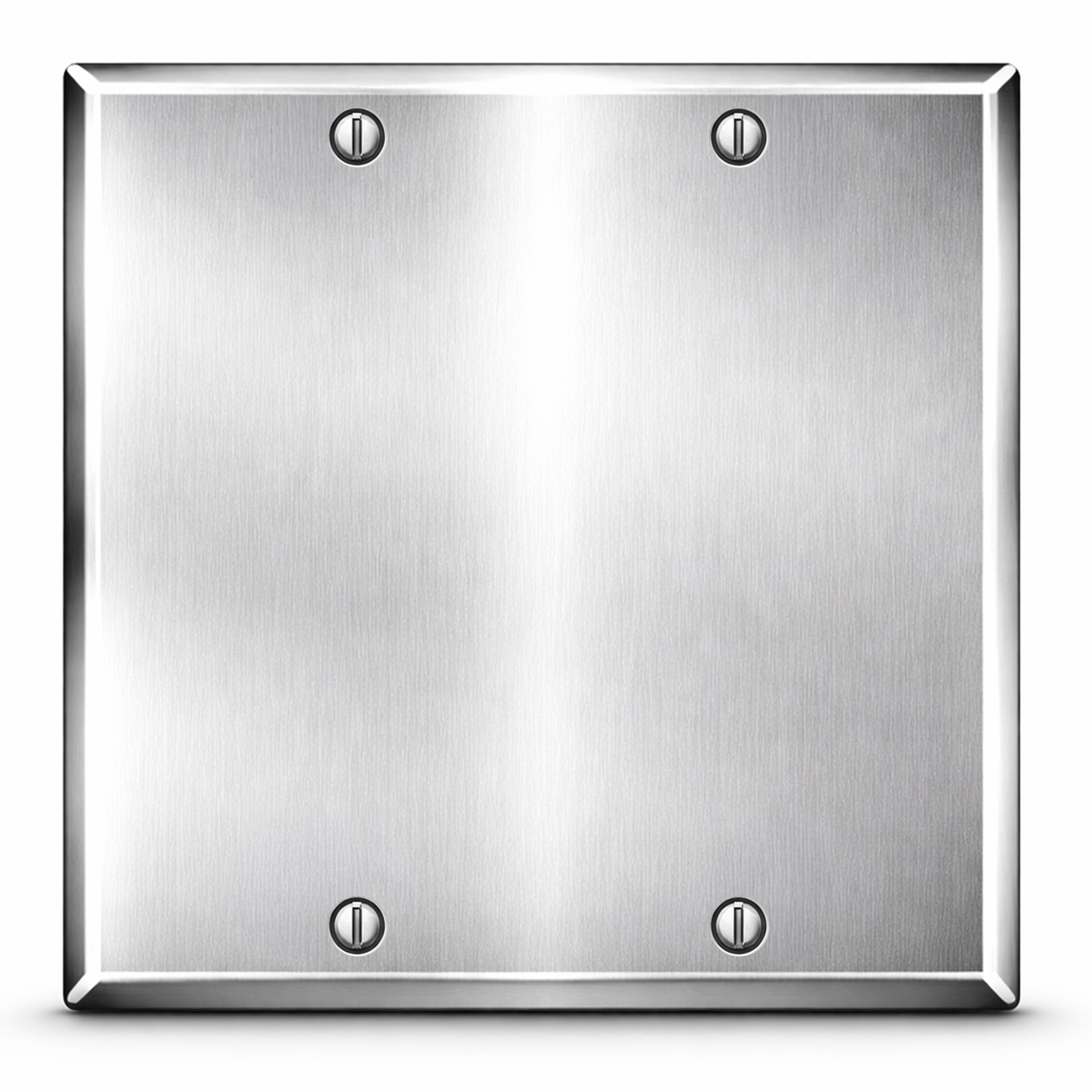 2 Gang Stainless Steel Blank Wall Plate
