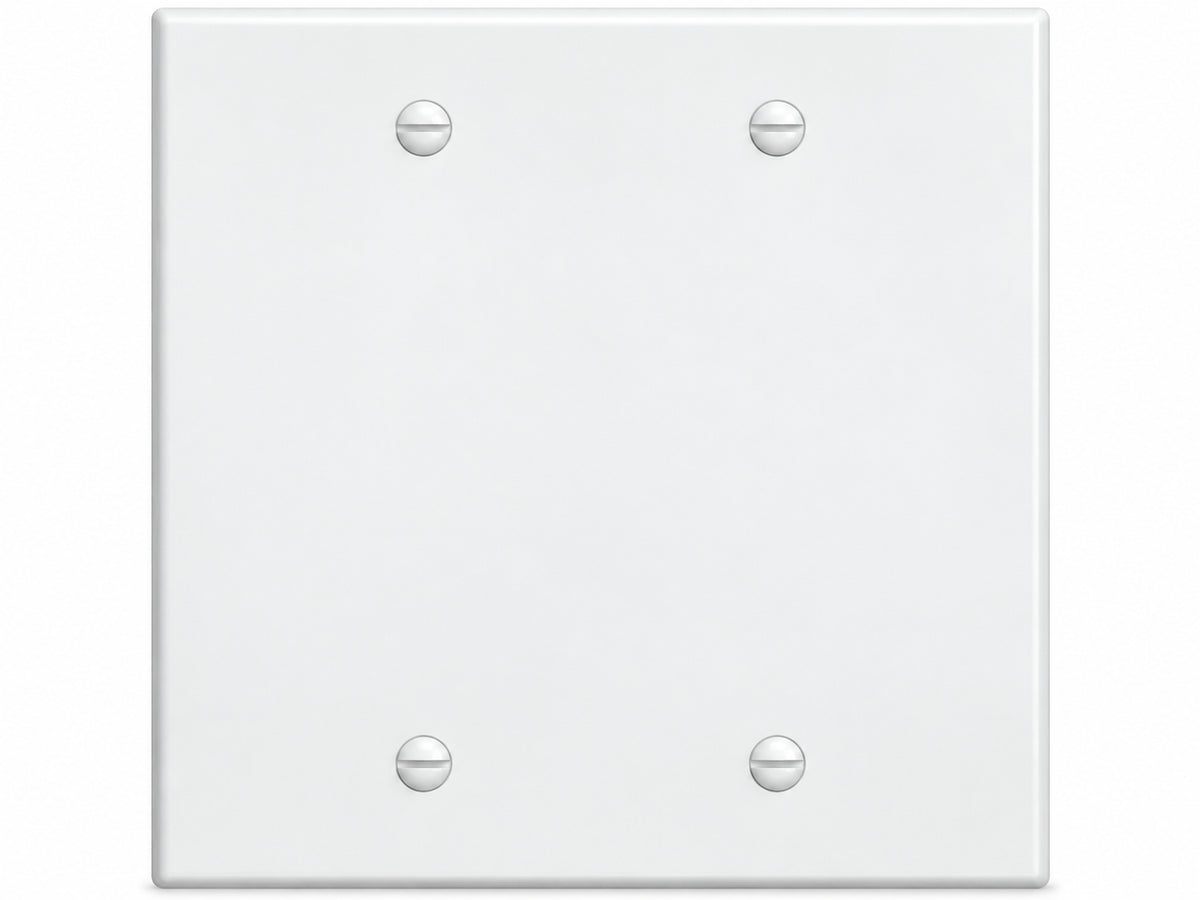 2-Gang, Standard Size, 2 Blank, White Thermoplastic Wall Plate Cover
