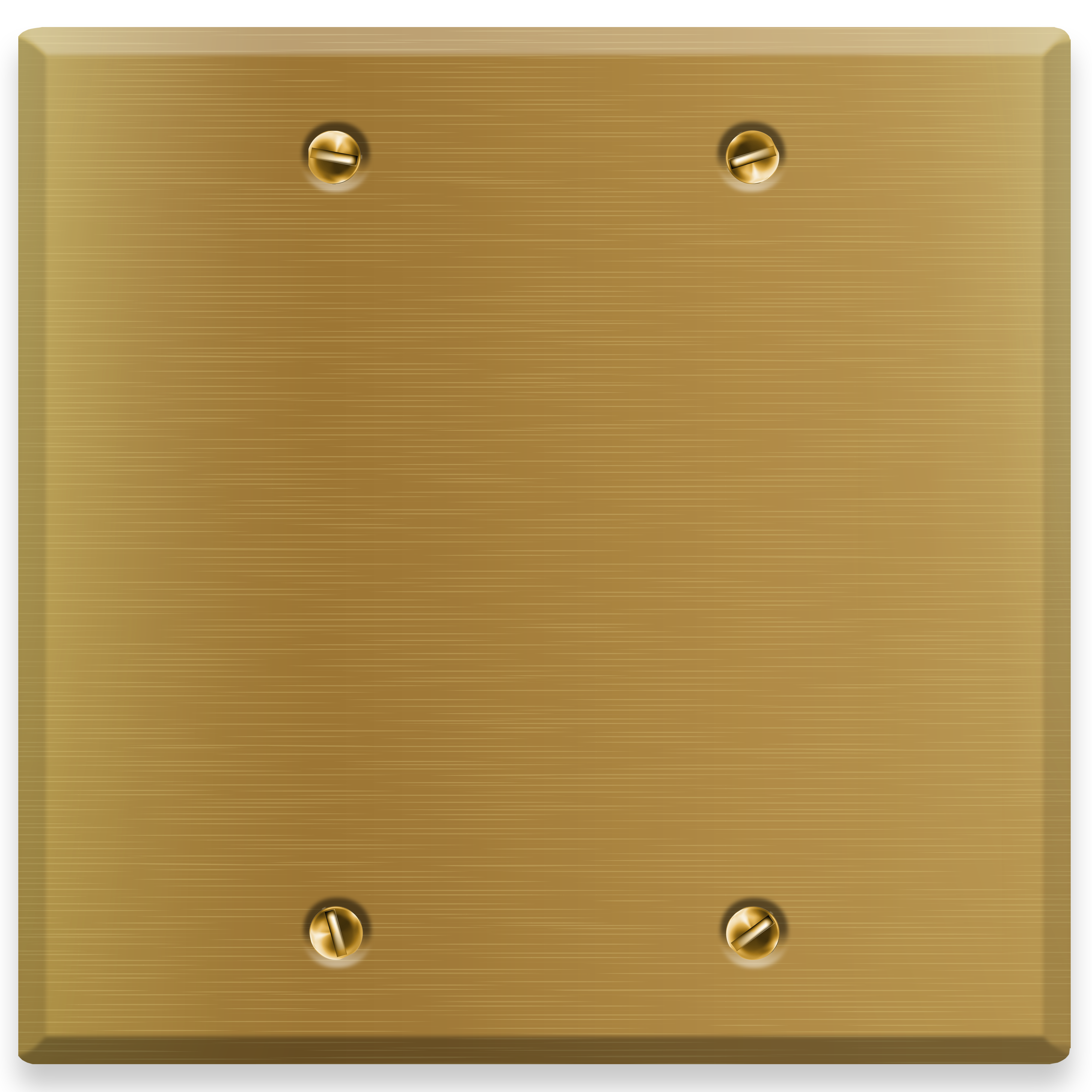 2-Gang Satin Brass Blank Wall Plate