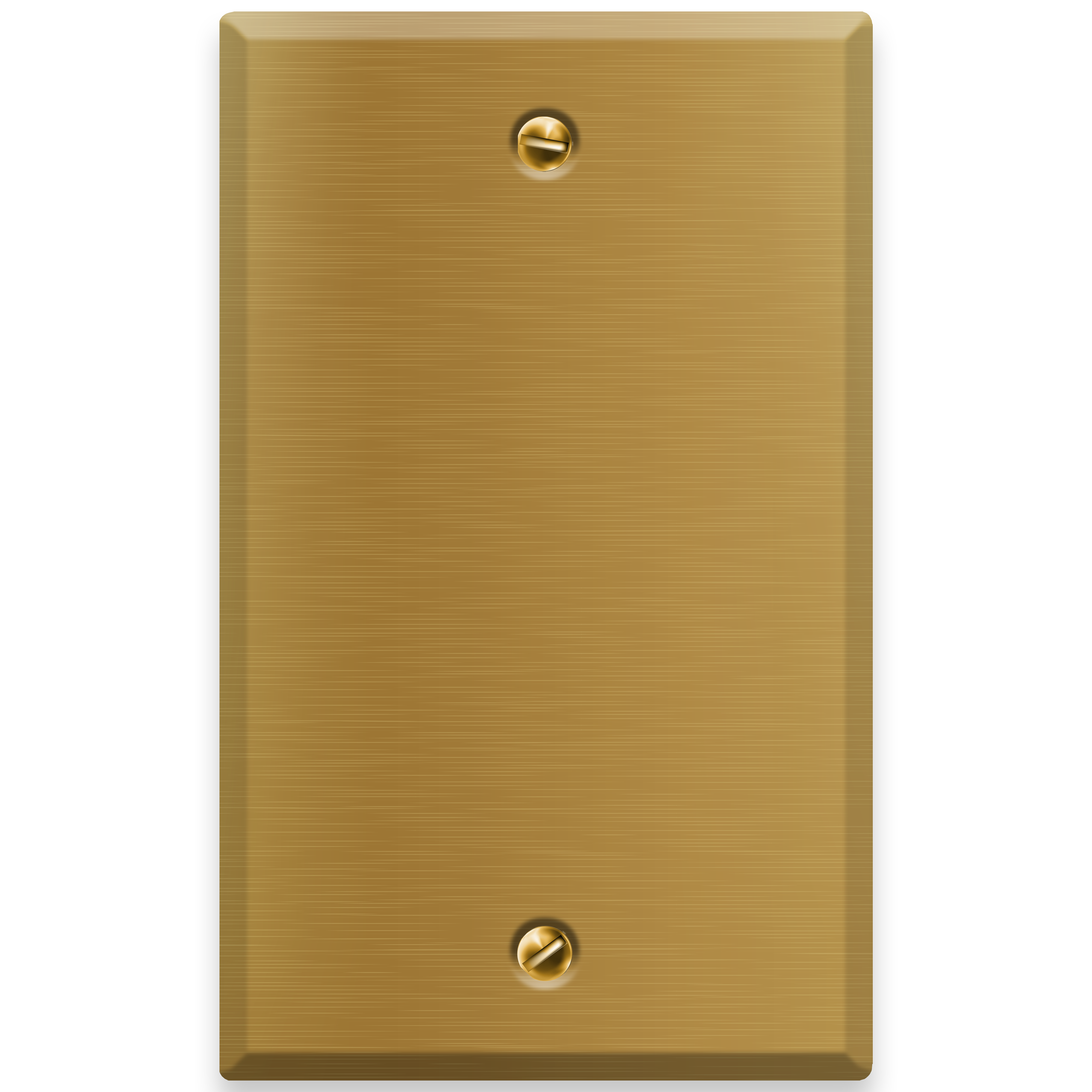 1-Gang Satin Brass Blank Wall Plate Cover